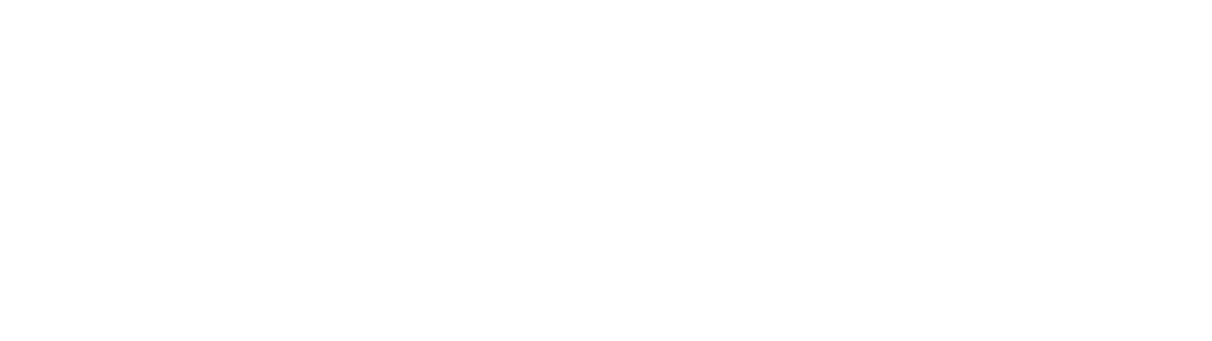 SKOLAE Training